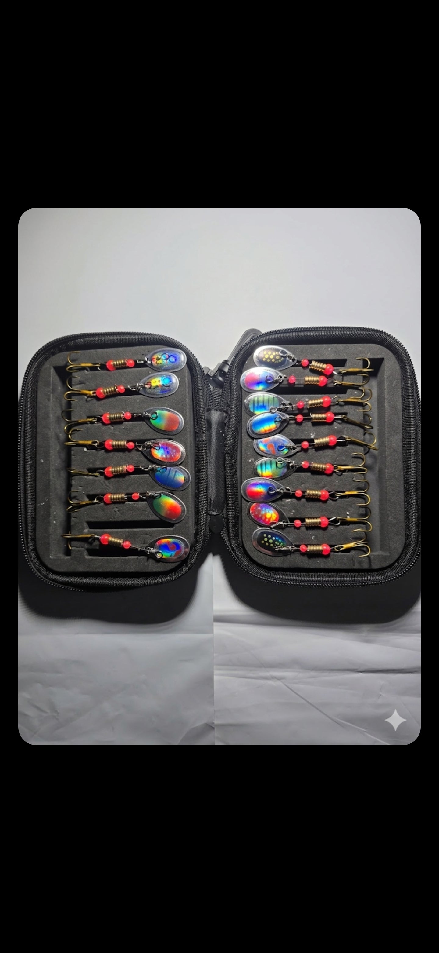 Kit de 16 Cuillères de Pêche Holographiques avec Étui de Rangement